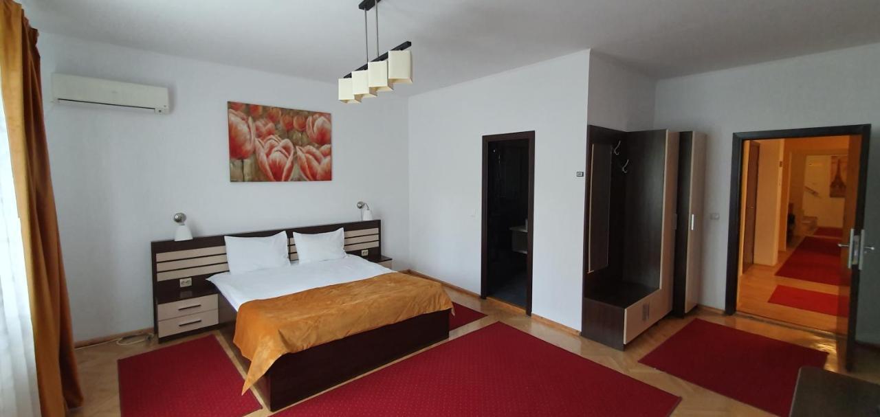 Vila Parc Cluj-Napoca Buitenkant foto