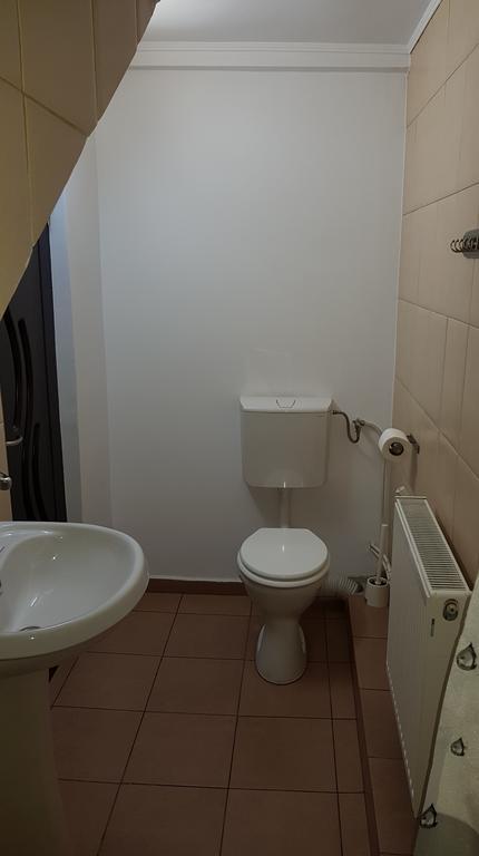 Vila Parc Cluj-Napoca Buitenkant foto